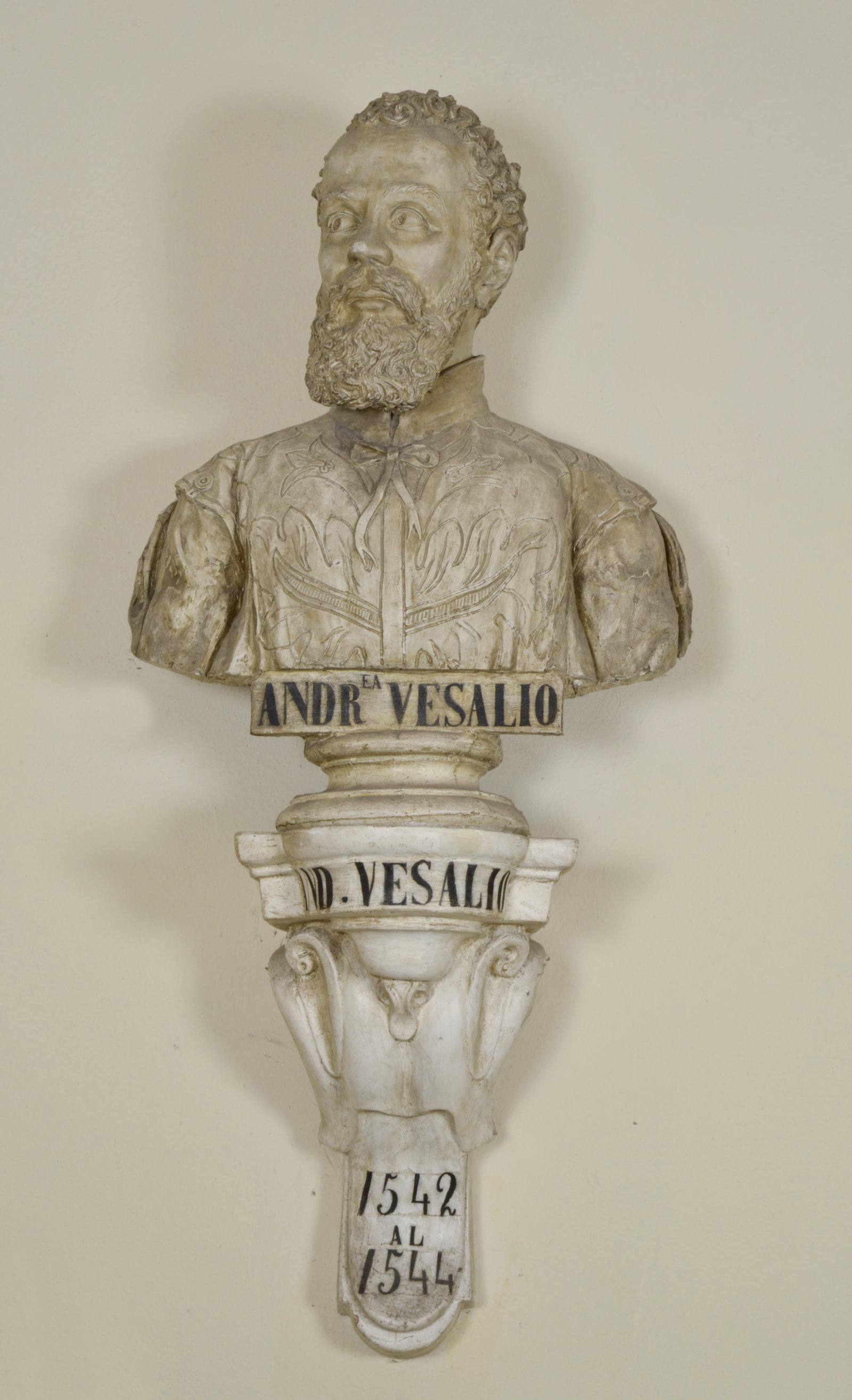 Ritratto di Andrea Vesalio